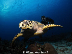 Tormentos Wall,Cozumel Island,Mexico.  Using Canon G10, h... by Alfonso Alcantara F. 